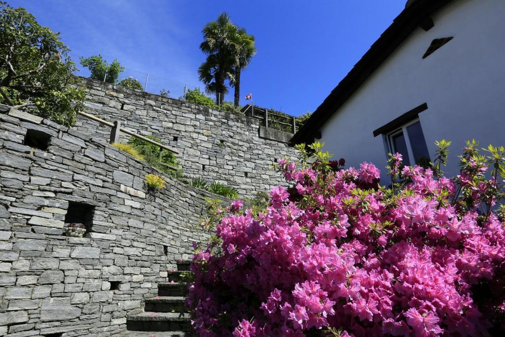 Casa Micheroli Gordola Εξωτερικό φωτογραφία